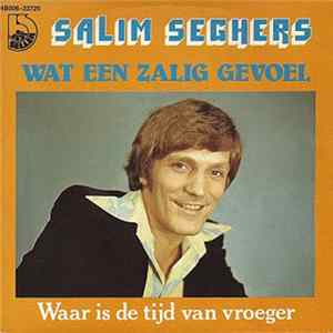 Salim Seghers - Wat Een Zalig Gevoel mp3