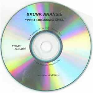 Skunk Anansie - Post Orgasmic Chil mp3