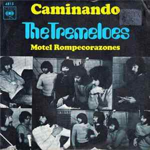 The Tremeloes - Caminando mp3