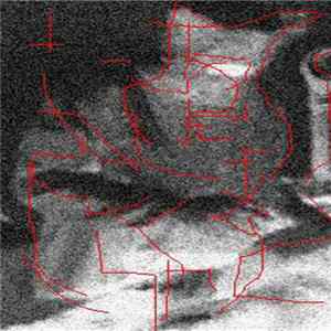 Anonymous Tapes Series - Vol. 3 : Pigface mp3