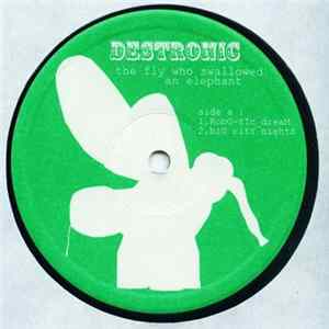 Destronic - The Fly Who Swallowed An Elephant mp3