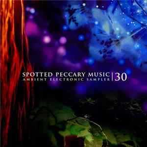 Various - 30 - Free Ambient Electronic Sampler mp3