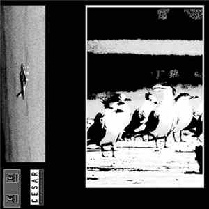 Ondo Fudd - Ondo Fudd mp3