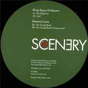 Deep Space Orchestra / Bantam Lions - We Held On mp3