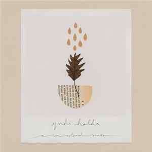Yndi Halda - A Sun-Coloured Shaker mp3