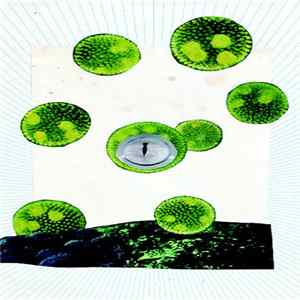 F.Ampism - Internal Flight Agency mp3