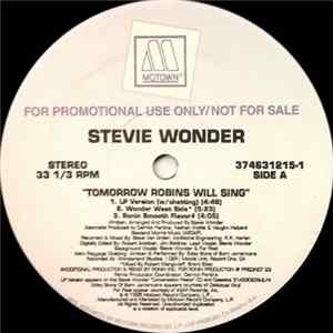Stevie Wonder - Tomorrow Robins Will Sing mp3