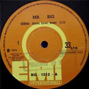 Mr Big - Señora mp3