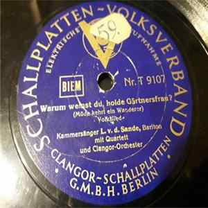Louis van de Sande - Warum Weinst Du Holde Gartnersfrau? / La Paloma mp3