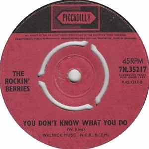 The Rockin' Berries - What In The World's Come Over You mp3