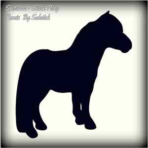 Shebuzzz - Black Pony mp3