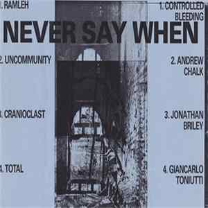 Various - Never Say When mp3