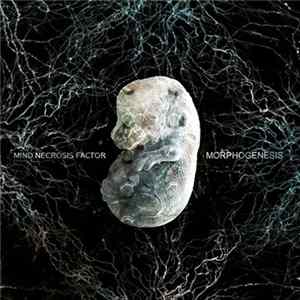 Mind Necrosis Factor - Morphogenesis mp3