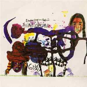 Animal Collective - Grass mp3