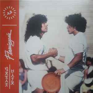Flamingosis - Great Hair mp3