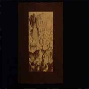 Tardigrada - Widrstand mp3