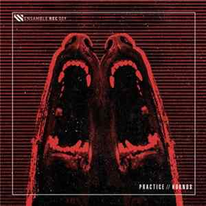 Practice - Hounds mp3