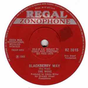 The Move - Blackberry Way mp3