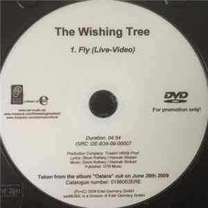 The Wishing Tree - Fly (Live-video) mp3