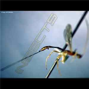 Cylotron - Insects mp3