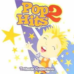 Unknown Artist - Pop Hits 2 - Tribute Collection mp3