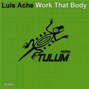 DJ Luis Ache - Work That Body mp3