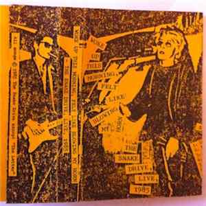 The Snake Drive - Woke Up This Morning, Felt Like Blowing My Horn (The Snake Drive Live, 1985) mp3