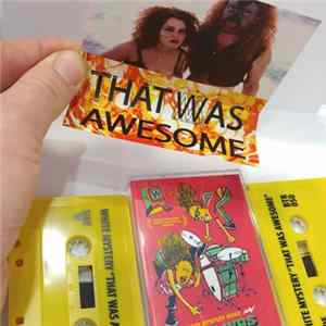 White Mystery - "That Was Awesome!" mp3