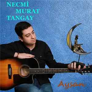 Necmi Murat Tangay - Aysan mp3