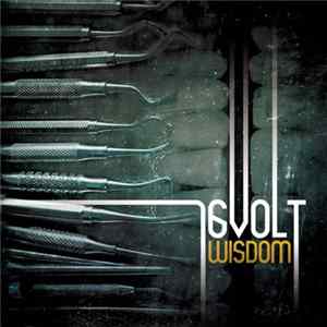 16Volt - Wisdom mp3
