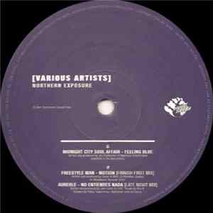 Various - Northern Exposure mp3