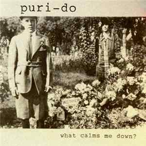 Puri-Do - What Calms Me Down? mp3