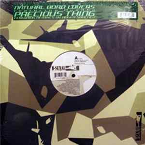Natural Born Lovers Featuring Meekha - Precious Thing mp3