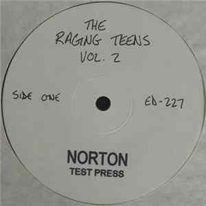 Various - The Raging Teens Volume 2 mp3