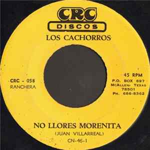 Los Cachorros - No Llores Morenita mp3