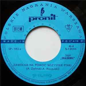 Skaldowie - Zawołam Na Pomoc Wszystkie Ptaki mp3