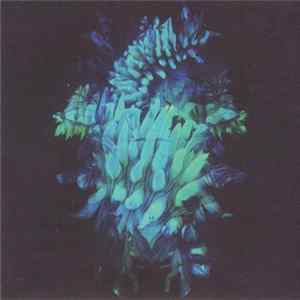 Fakear - All Glows mp3