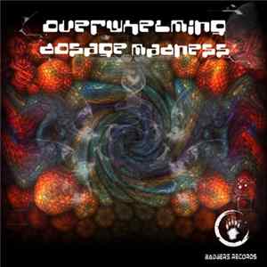 Horaproject - Overwhelming Dosage Madness mp3