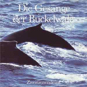 Buckelwale - Die Gesänge Der Buckelwale mp3