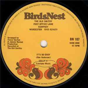 Sally J. - It's So Easy mp3
