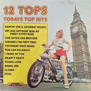 Unknown Artist - 12 Tops - Todays Top Hits mp3