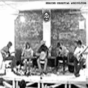 MV / EE / Barnes / Willie / Doc / Muskox - Terrastock Raga mp3