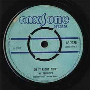 The Termites / The Summertairs - Do It Right Now / Stay mp3