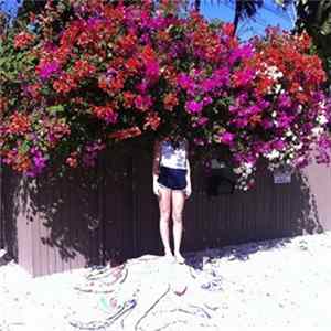 Elf Power - Sunlight On The Moon mp3