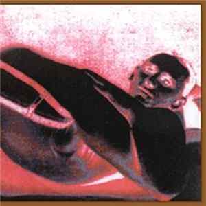 Cornucopia / Never Presence Forever - Split 3" CDR mp3