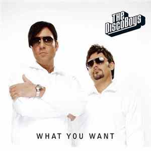 The Disco Boys - What You Want mp3