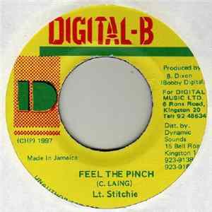 Lt. Stitchie - Feel The Pinch mp3