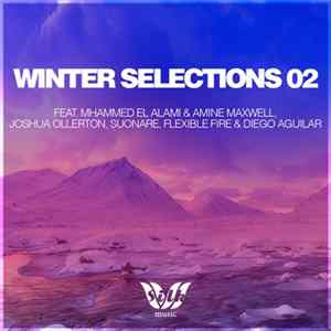 Various - Winter Selections 02 mp3