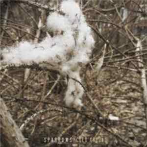 Sparrows - Cold Ground mp3