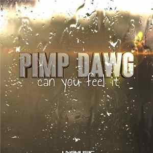 Pimp Dawg - Can You Feel It mp3